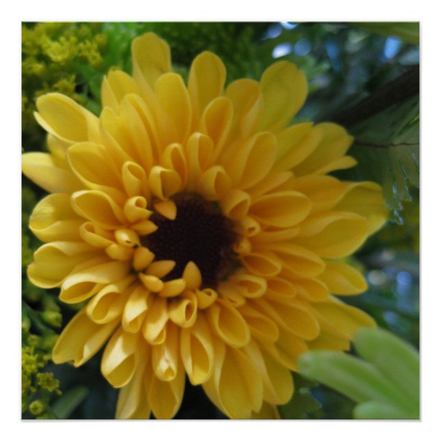 Yellow Flower Poster Print (Front)