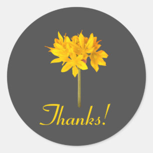 Yellow Flower Thanks Classic Round Sticker