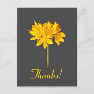 Yellow Flower Thanks Postcard