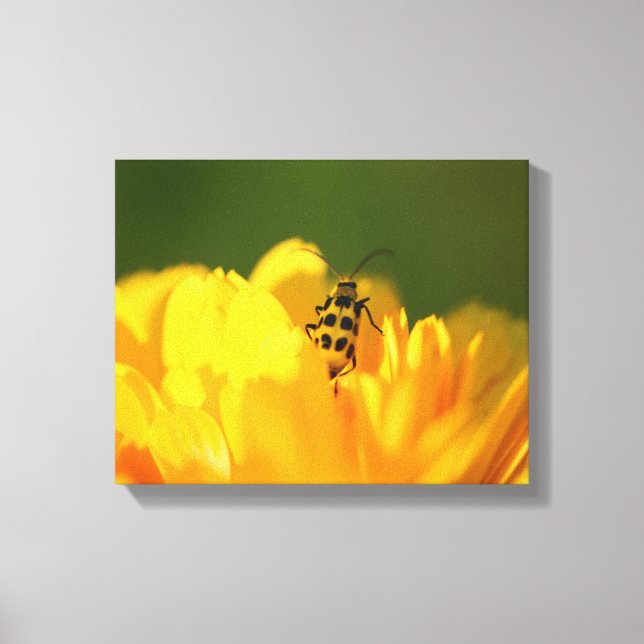 Yellow flower  Wrapped Canvas (Front)