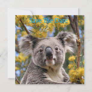 Yellow Flowering Wattle Tree With A Koala, Save The Date
