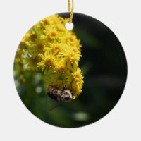 Yellow Flowers Bee Bumblebee Nature Photography