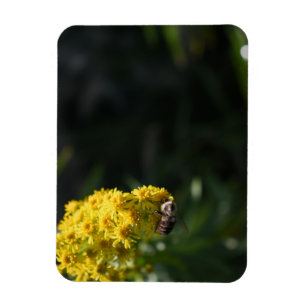 Yellow Flowers Bee Bumblebee Nature Photography Magnet