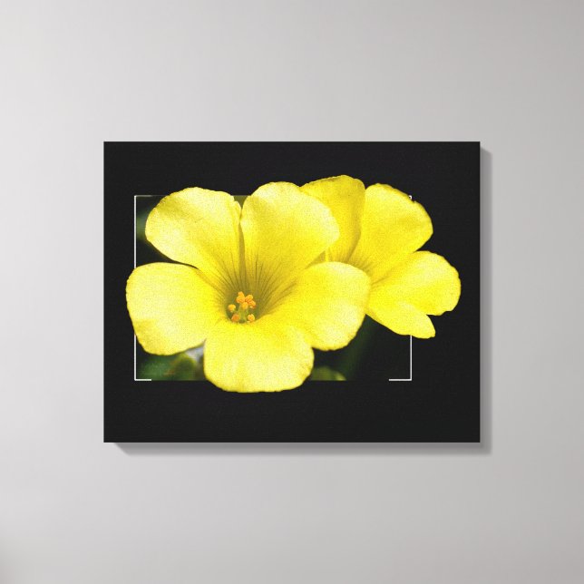 yellow flowers canvas print (Front)
