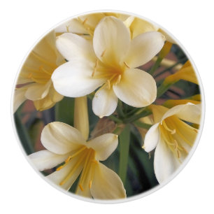 YELLOW FLOWERS CERAMIC KNOB