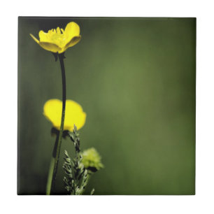 Yellow Flowers Ceramic Tile