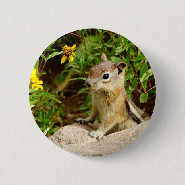 Yellow Flowers Chipmunk 6 Cm Round Badge (Front)