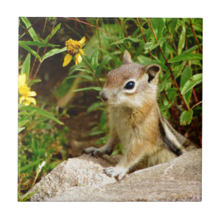 Yellow Flowers Chipmunk Tile