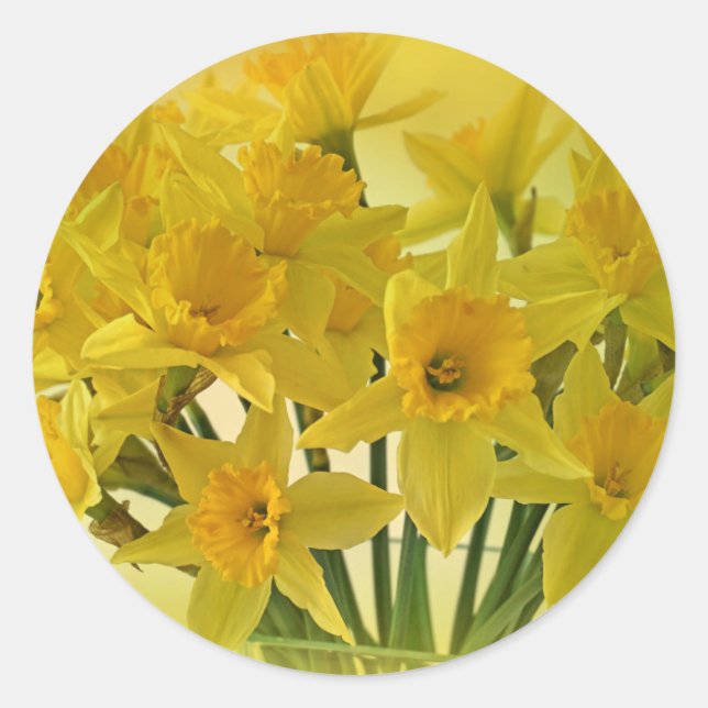 Yellow Flowers Classic Round Sticker (Front)