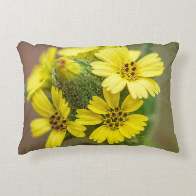 Yellow Flowers Decorative Cushion (Front)