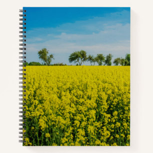 Yellow flowers field notebook