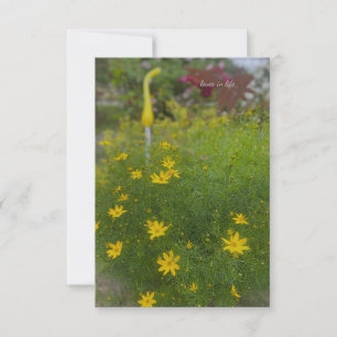Yellow Flowers & Garden Decor Card