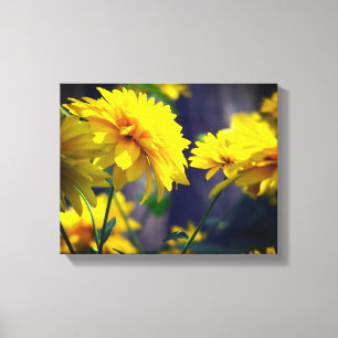Yellow Flowers In Sunshine  Canvas Print