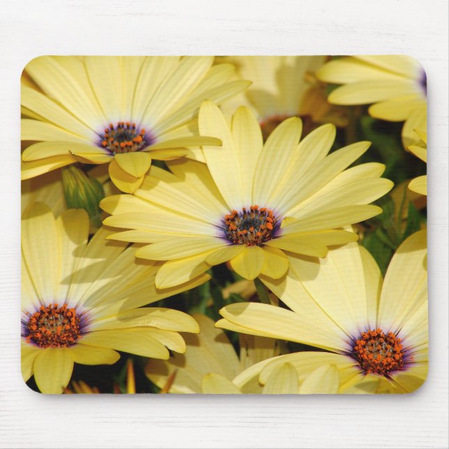 Yellow Flowers Mouse Mat (Front)