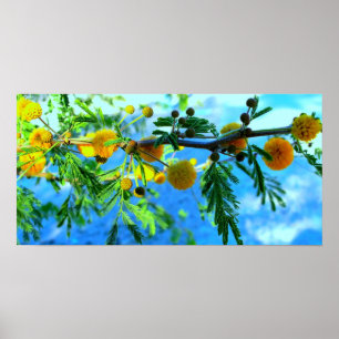 Yellow Flowers on a Tree Branch Poster