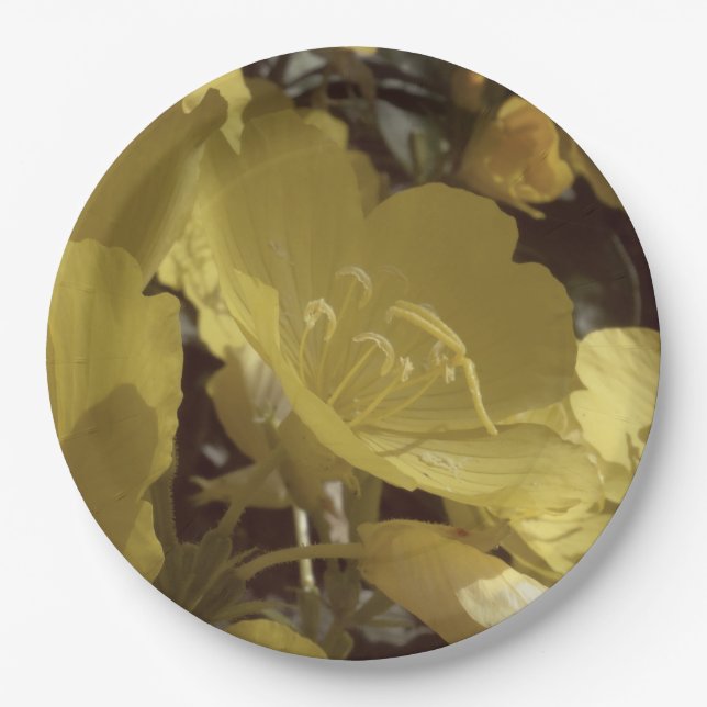 Yellow Flowers Photo, Summer Custom Paper Plates (Front)
