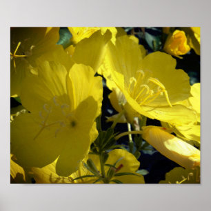 Yellow Flowers Photo, Summertime Poster Paper