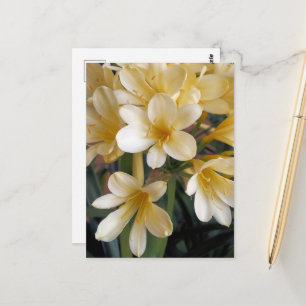 YELLOW FLOWERS POSTCARD