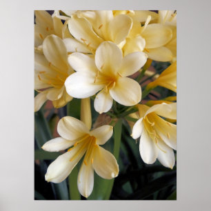 YELLOW FLOWERS POSTER