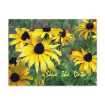 Yellow Flowers Save The Date Postcard