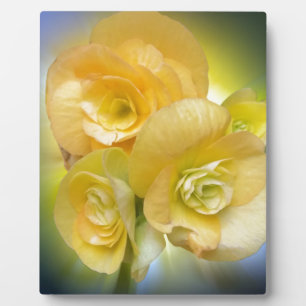 yellow flowers shining plaque
