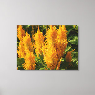 Yellow flowers Single print