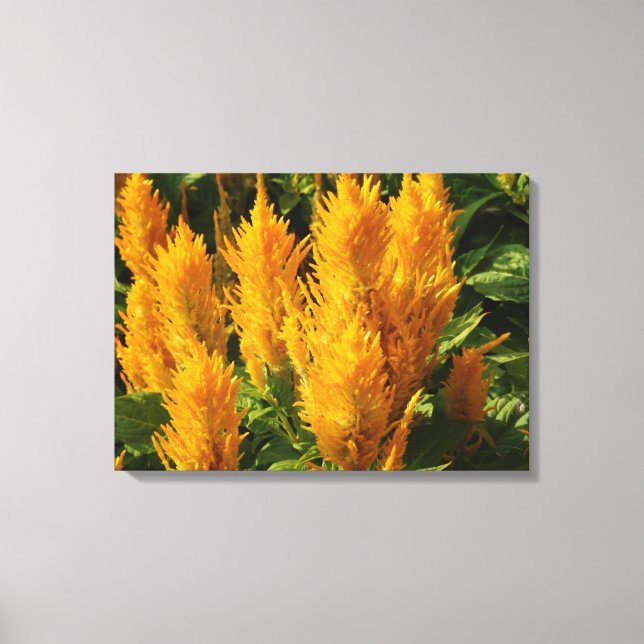 Yellow flowers Single print (Front)