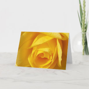 Yellow Folds Card