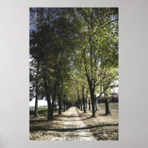 yellow forrest gump poster