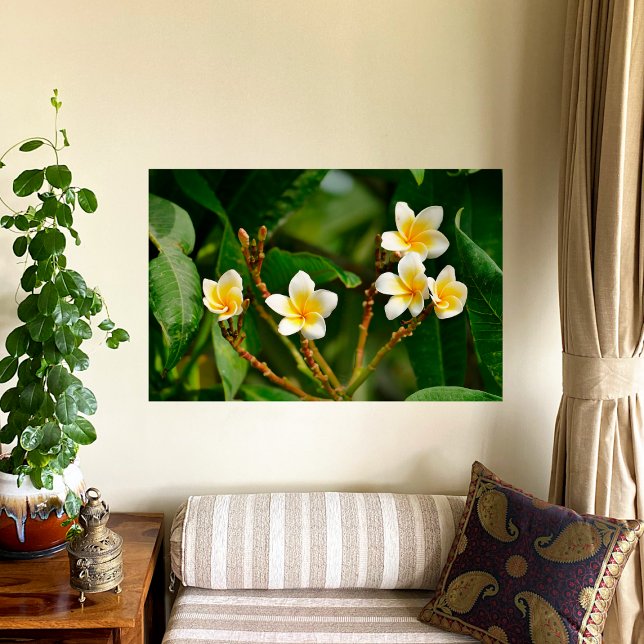 Yellow Frangipani Canvas Print (Creator Uploaded)