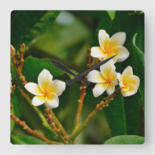 Yellow Frangipani Square Wall Clock