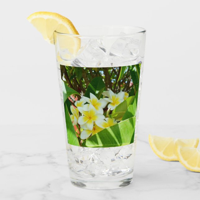 Yellow Frangipani Tree, Drink Glass (Front Ice)