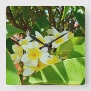 Yellow Frangipani Tree, Square Wall Clock