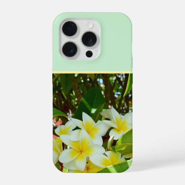 Yellow Frangipanis Growing On A Tree, iPhone Case (Back)