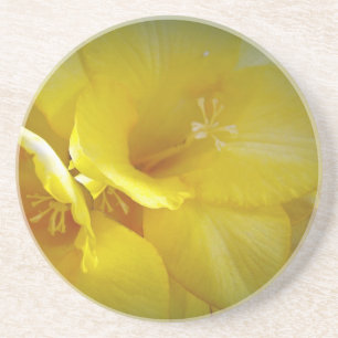 Yellow Freesia Flowers Coaster