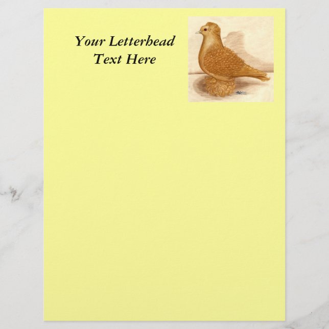 Yellow Frillback Pigeon (Front)