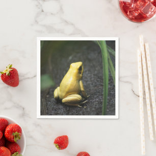 Yellow Frog Napkin