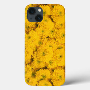 Yellow garden asters mums chrysanthemums flower  iPhone 13 case
