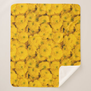 Yellow garden asters mums chrysanthemums flower sherpa blanket
