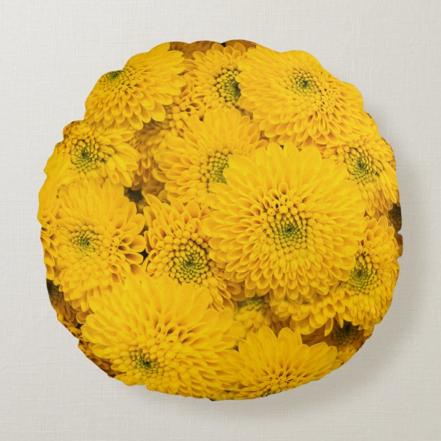 Yellow garden asters Perfect colour summer flower  Round Cushion (Front)