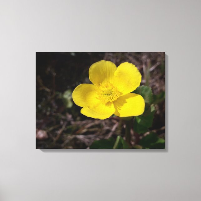 Yellow garden flower canvas print (Front)