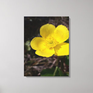 Yellow garden flower canvas print