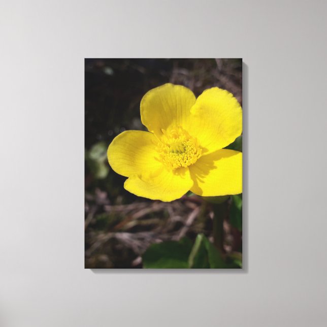 Yellow garden flower canvas print (Front)