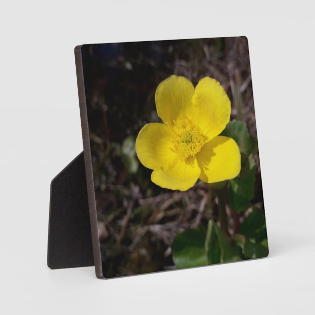 Yellow garden flower plaque (Front)