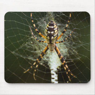 Yellow garden spider mouse mat