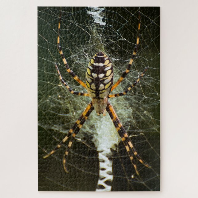 Yellow garden spider on web in dark jigsaw puzzle (Vertical)