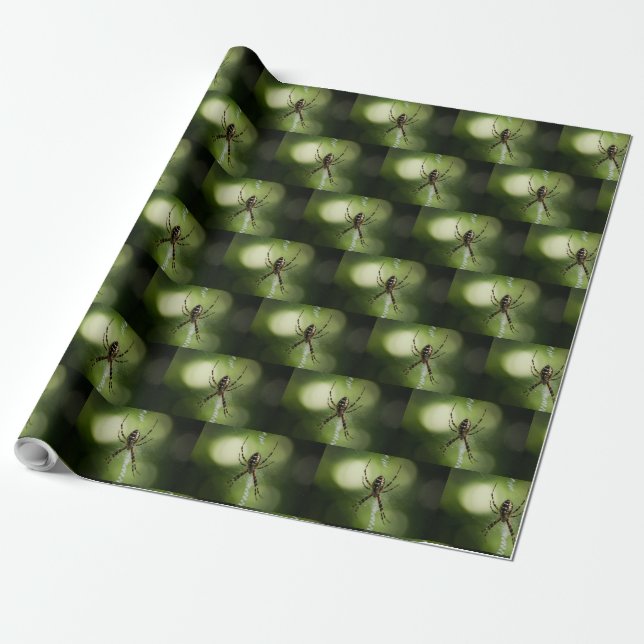 Yellow garden spider wrapping paper (Unrolled)