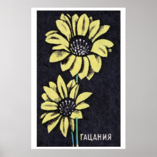Yellow Gazania - Matchbox Print - Aesthetic Wall