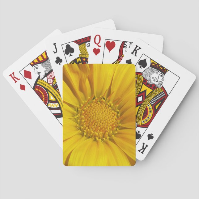 Yellow Gazania Playing Cards (Back)