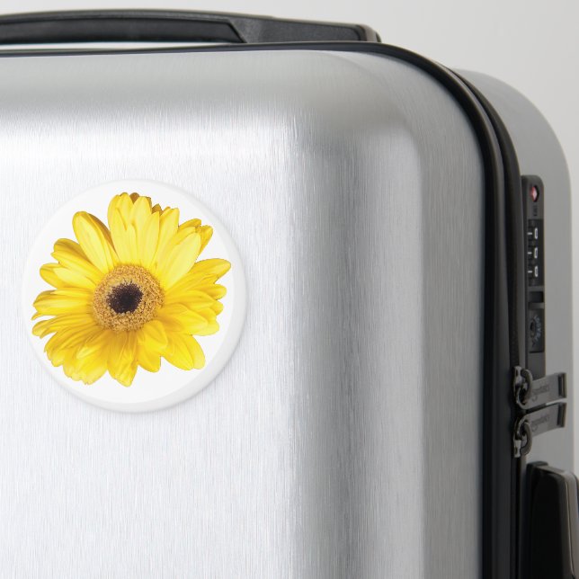 Yellow Gerber Daisy Flower Close-Up Photograph Magnet (In Situ (Luggage))